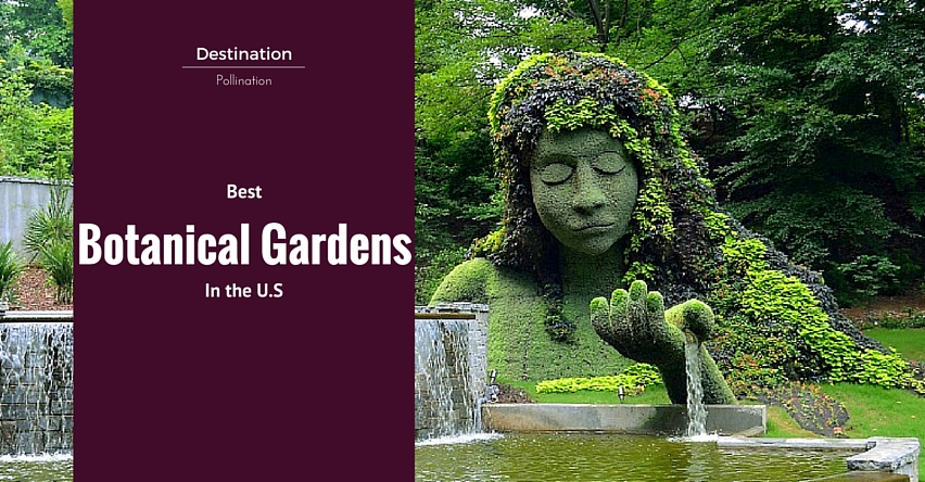 Best Botanical Gardens In The U S Group Tours