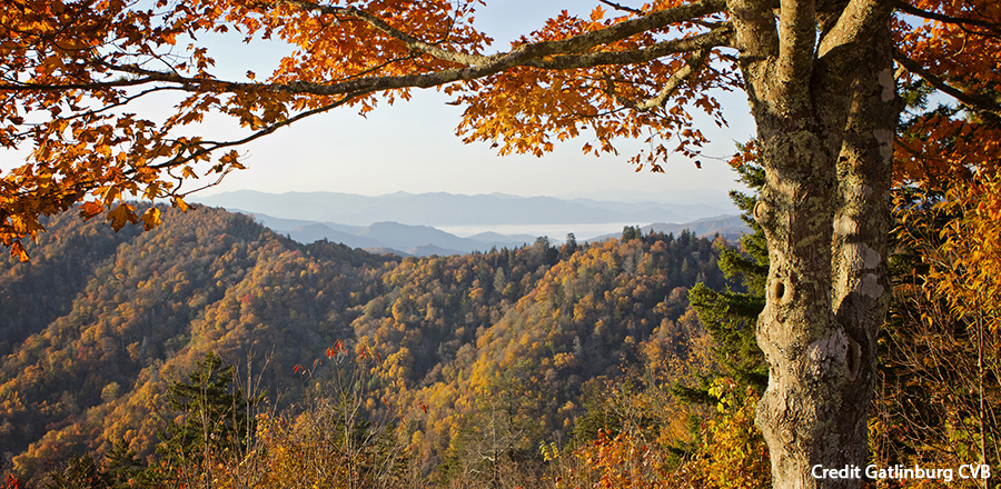 Autumn Gatlinburg Scene Credit Gatlinburg CVB