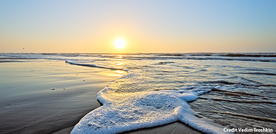 Galveston Beach Credit Vadim Troshkin