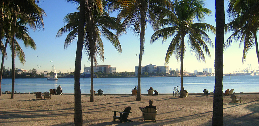 Miami Beach with Palm Trees