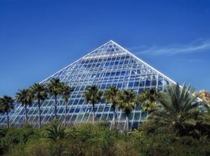 Moody Gardens Rainforest Pyramid surrounded by palm trees