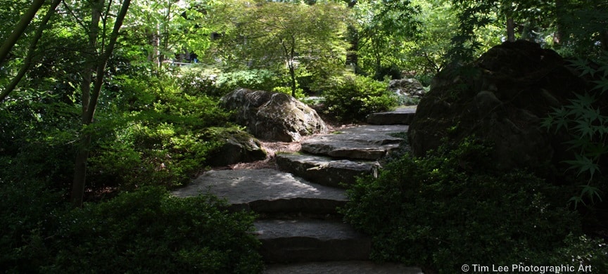 Garvan_Woodland_Gardens'_Japanese_Garden