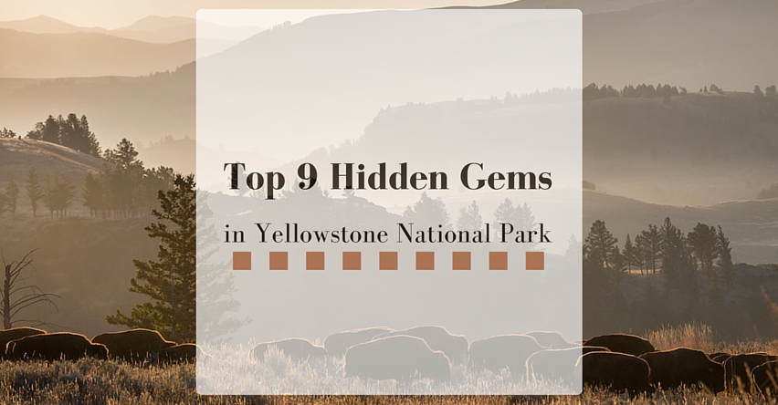 Top 10 Hidden Gems of Yellowstone National Park