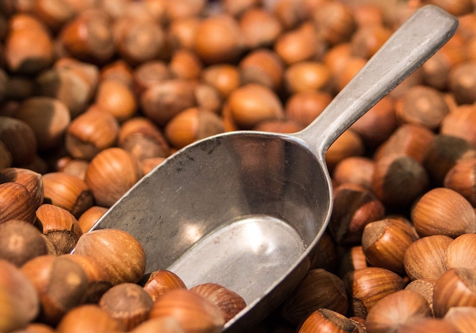 Scoop in hazelnuts