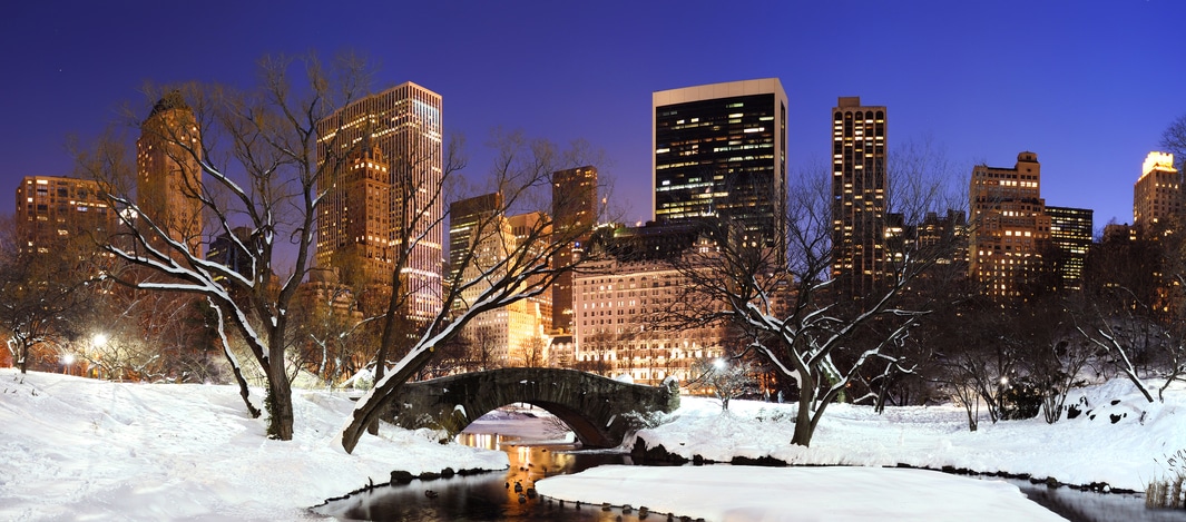 Central Park NYC Group Tours