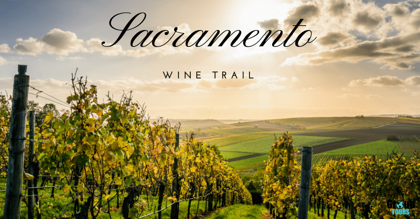 Sacramento Wine Trail blog title over image of vineyard