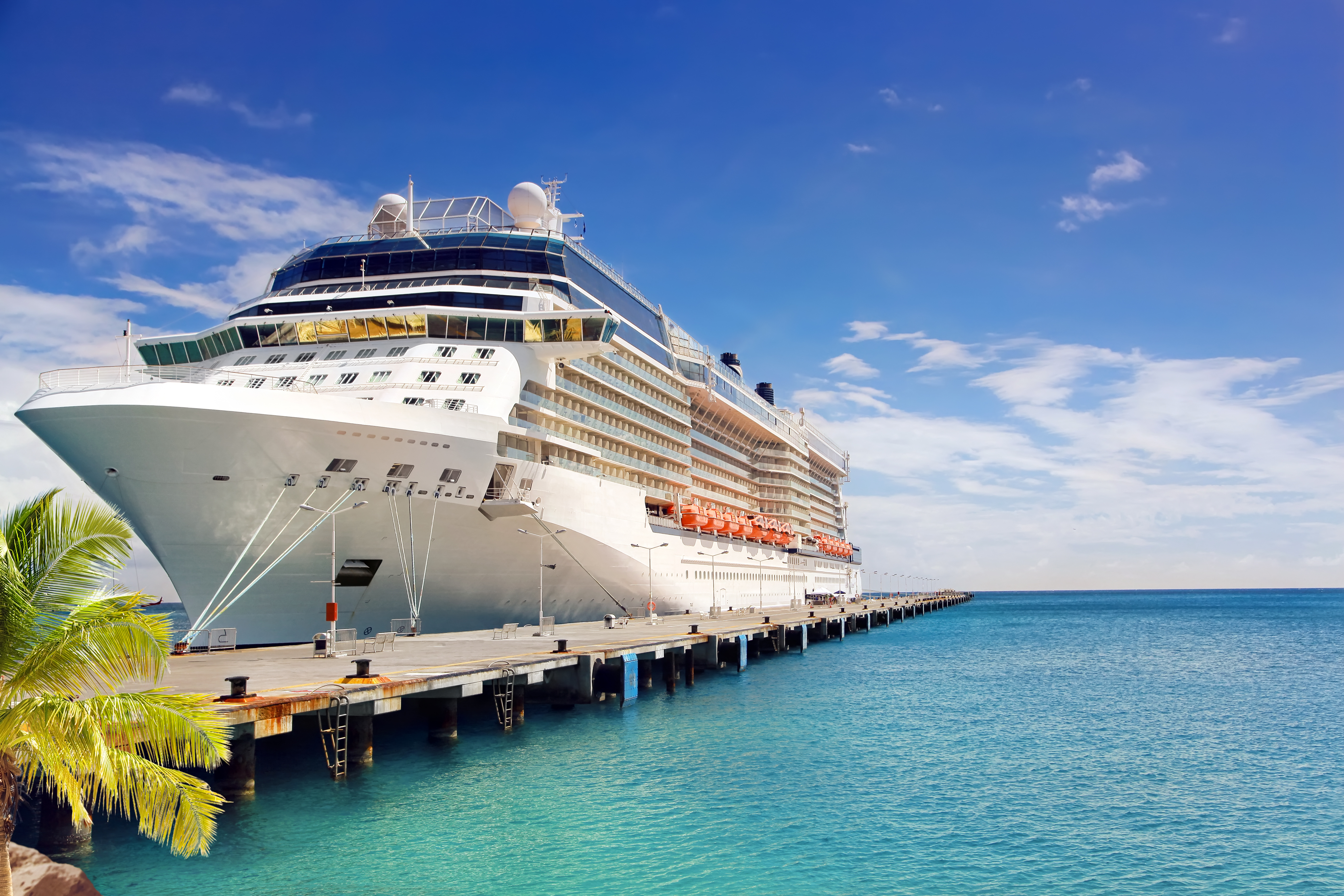 Top Cruises