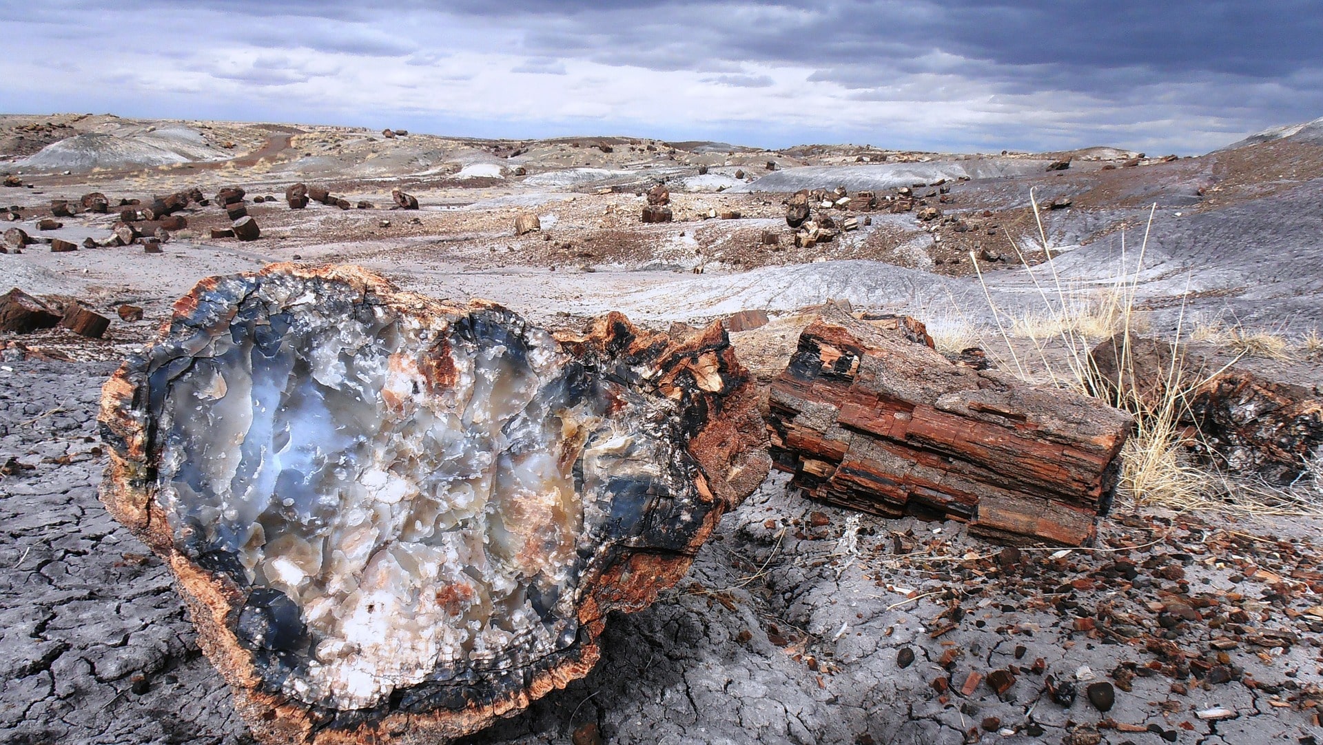 Petrified Forest National Park Pixabay Public Domain Petrified Forest National Park Pixabay Public Domain