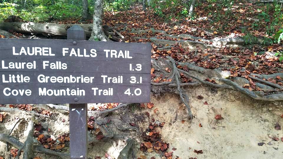 HIking at Great Smoky Mountain Park 