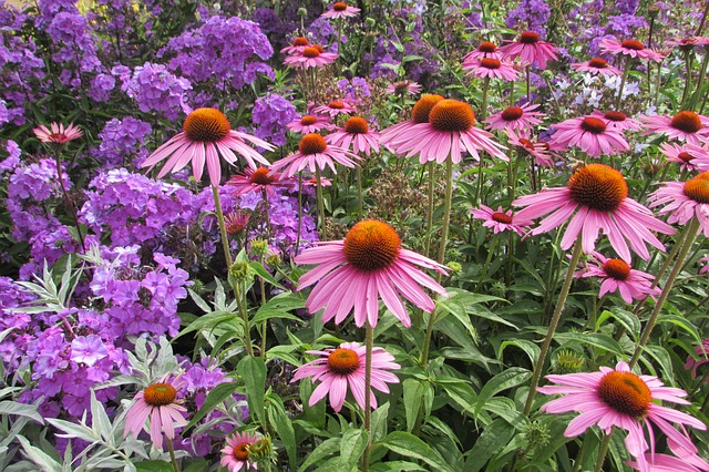 Atlanta Gardens Atlanta Gardens