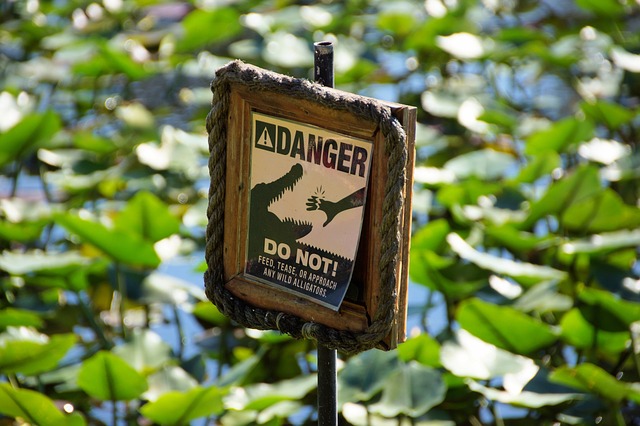The Everglades The Everglades