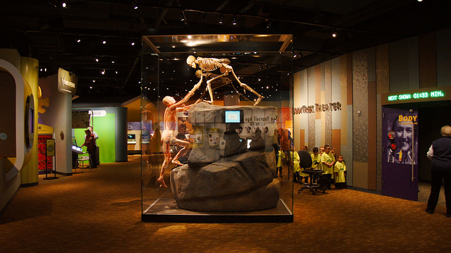 Ted Eytan Expedition Health Denver Museum of Nature and Science