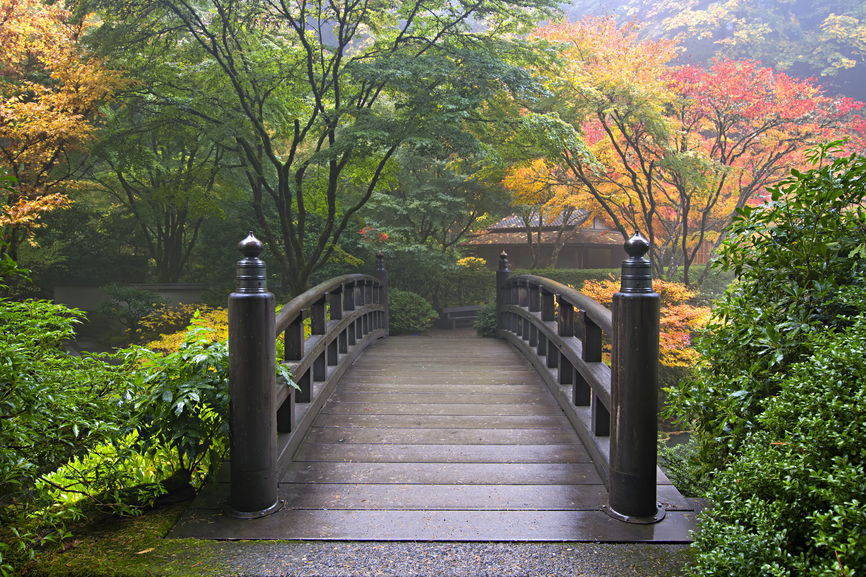 Wooden Bridge at Portland Japanese Garden Oregon in Autumn