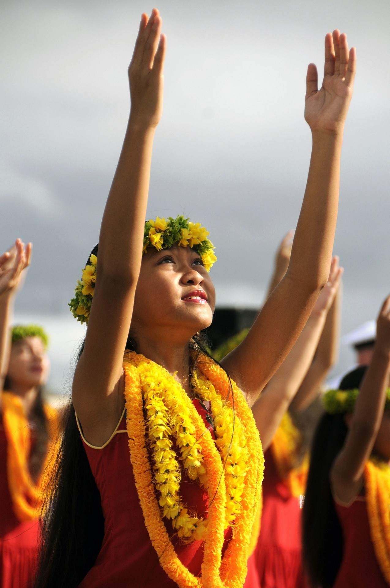 Authentic Hawaiian Luau Dollarphotoclub Public Domain 