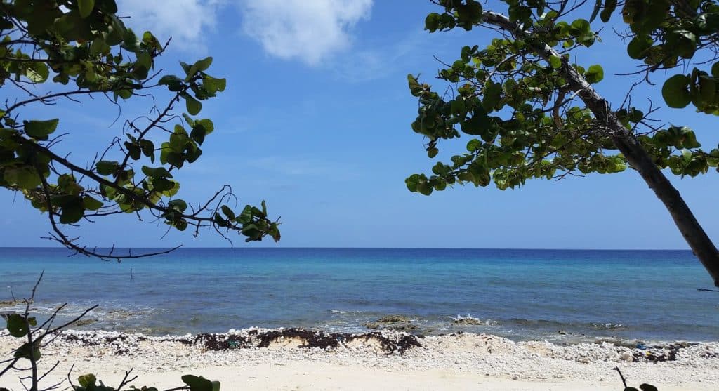 View of Ocean from Cayman Brac Beach with foliage