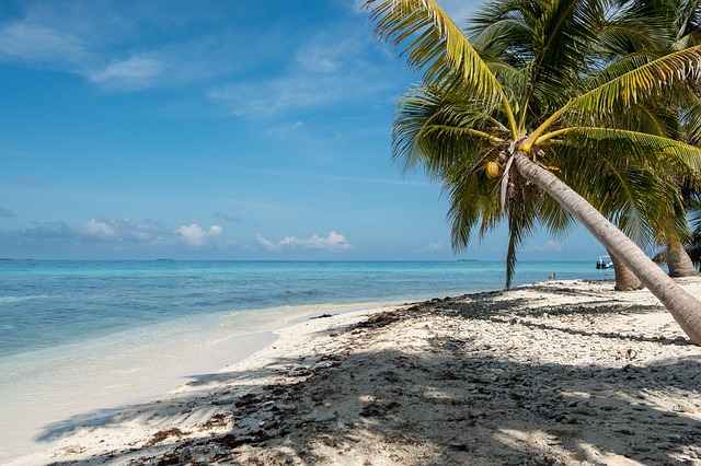 Belize Pixabay Public Domain Belize Pixabay Public Domain