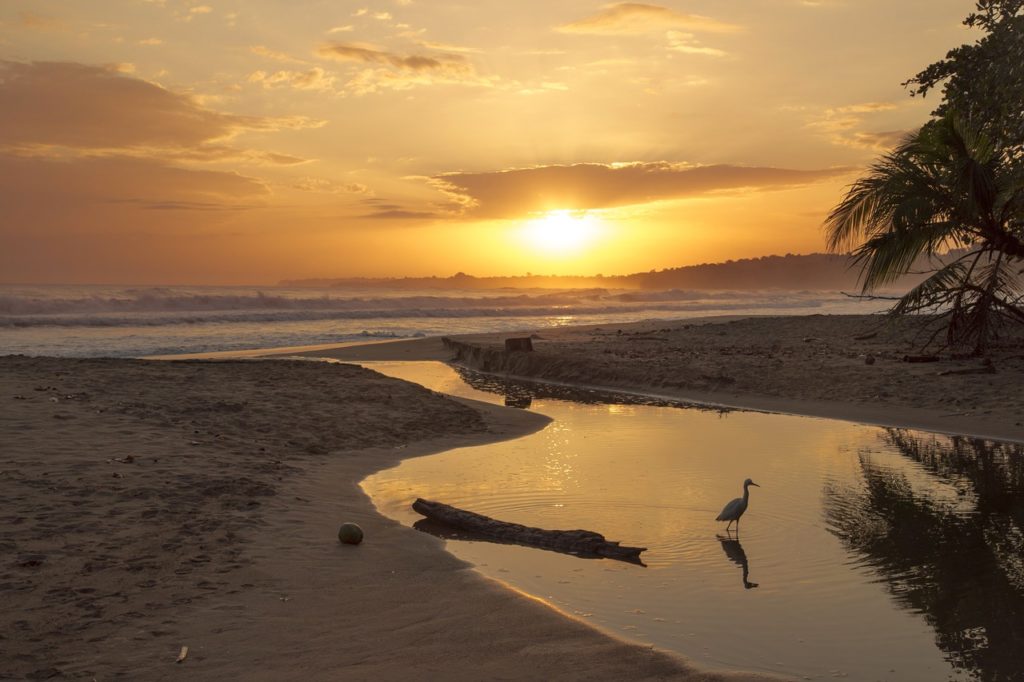 Sunset on sandy beach