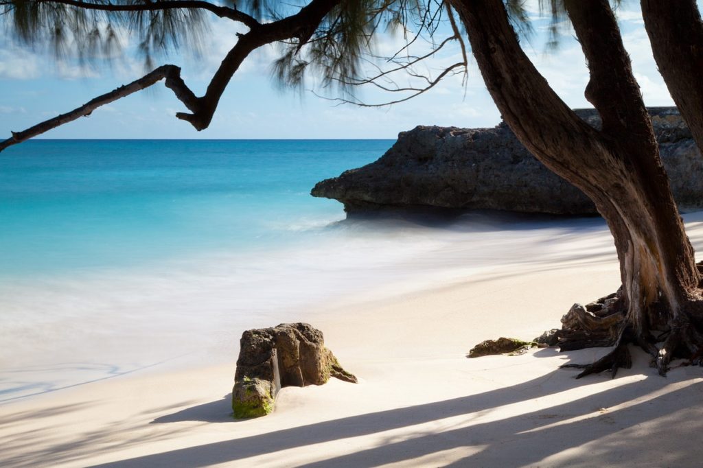 Barbados beach with bag sitting under tree
