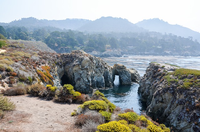 Point Lobos Pixabay Public Domain
