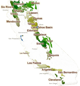 Pacific Southwest National Forests