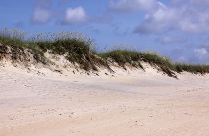 The beach, grass and sand dunes of the Outer Banks in North Carolina, USA.