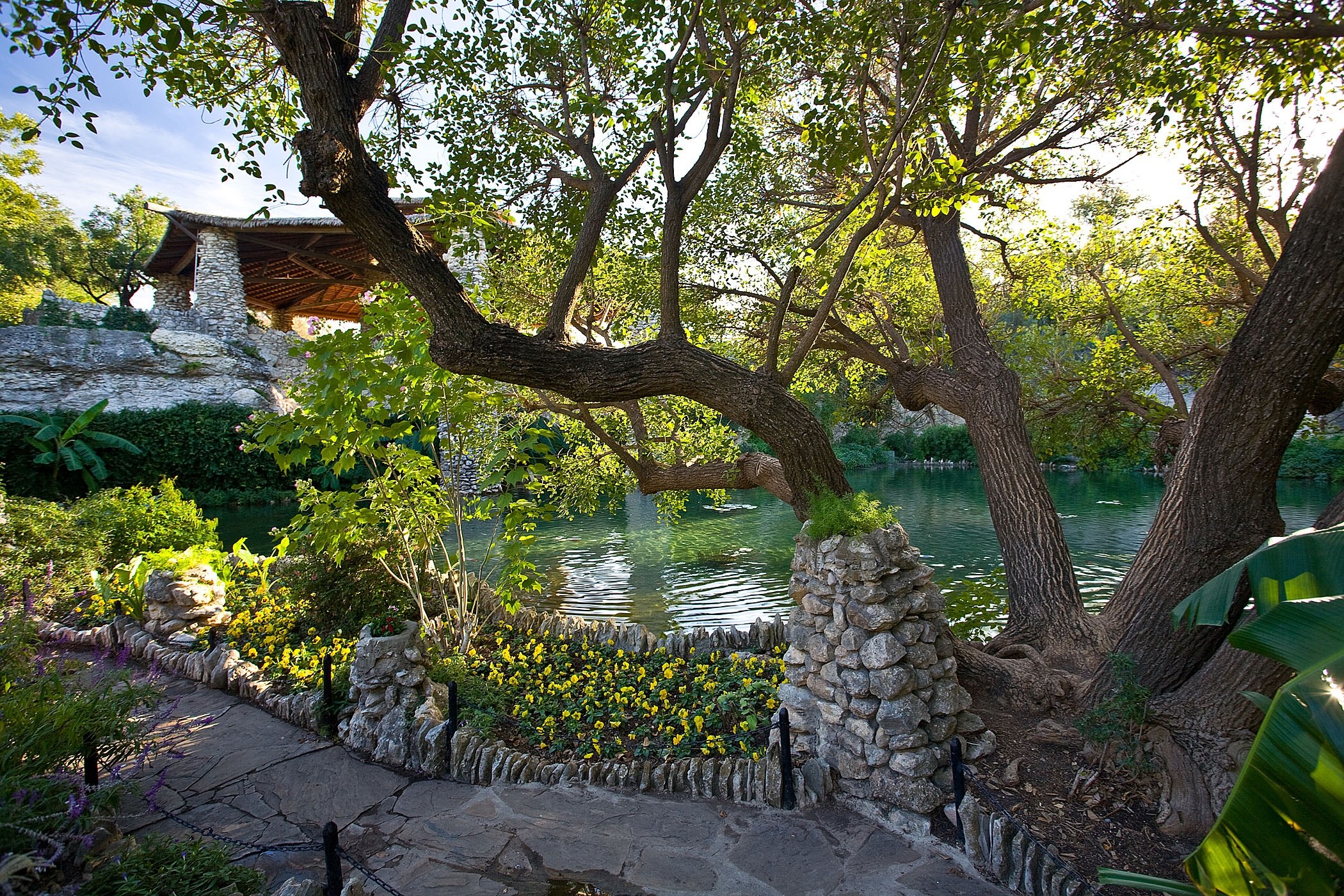 Japanese Tea Garden Views Courtesy of visitsanantonio.com