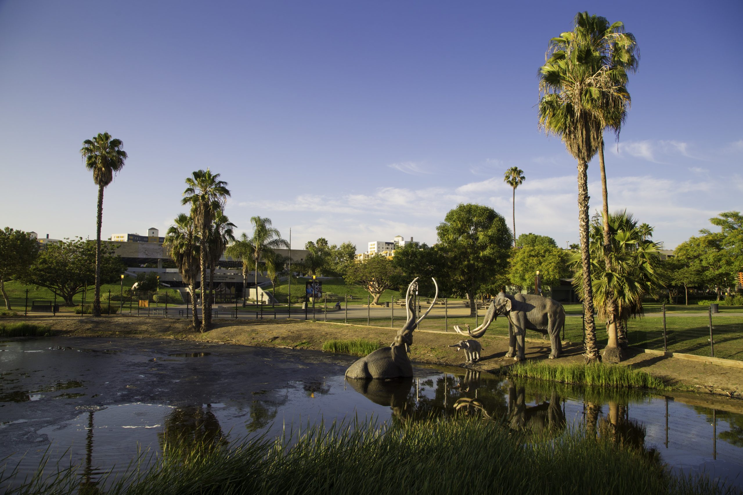 La Brea Tar Pits LOS ANGELES TOURISM CONVENTION BOARD