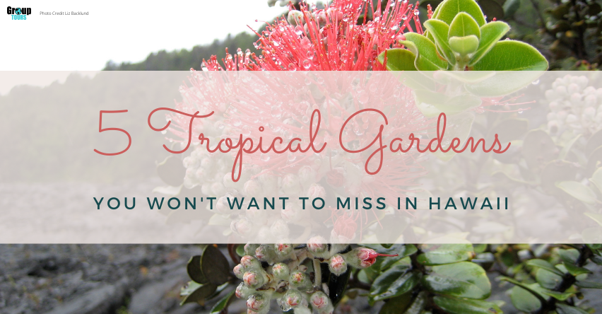 5 Tropical Gardens You Won't Want to Miss in Hawaii Group Tours