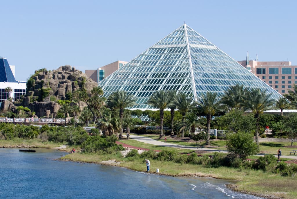 Moody Gardens Rainforest Pyramid. Glass pyramid surrounded by rock formations and palm trees in a city